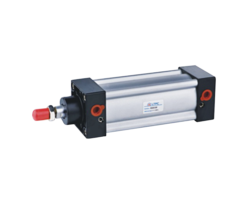 SI series standard cylinder